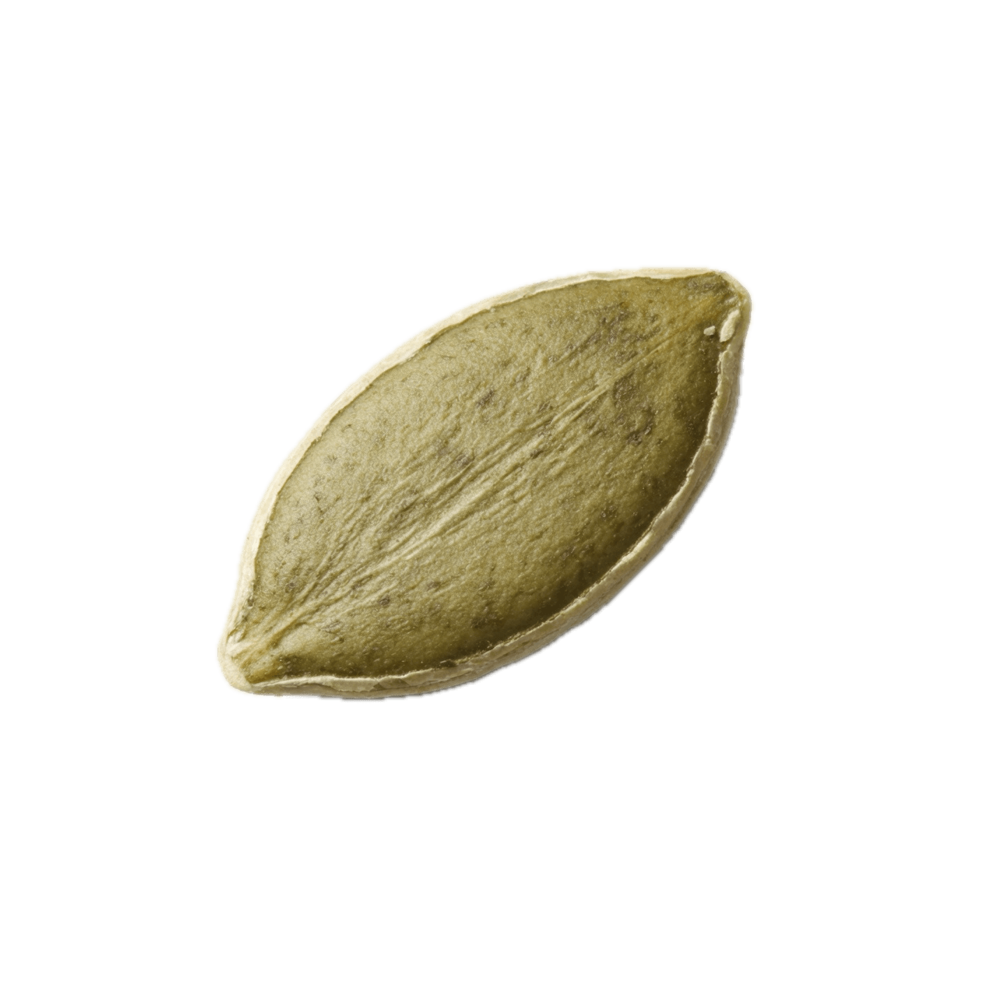 Pumpkin Seeds